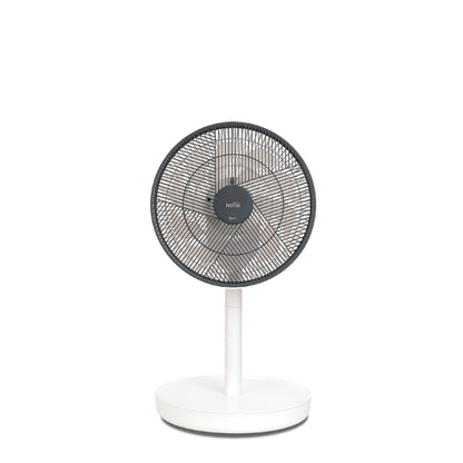 (New) Plasma Fan